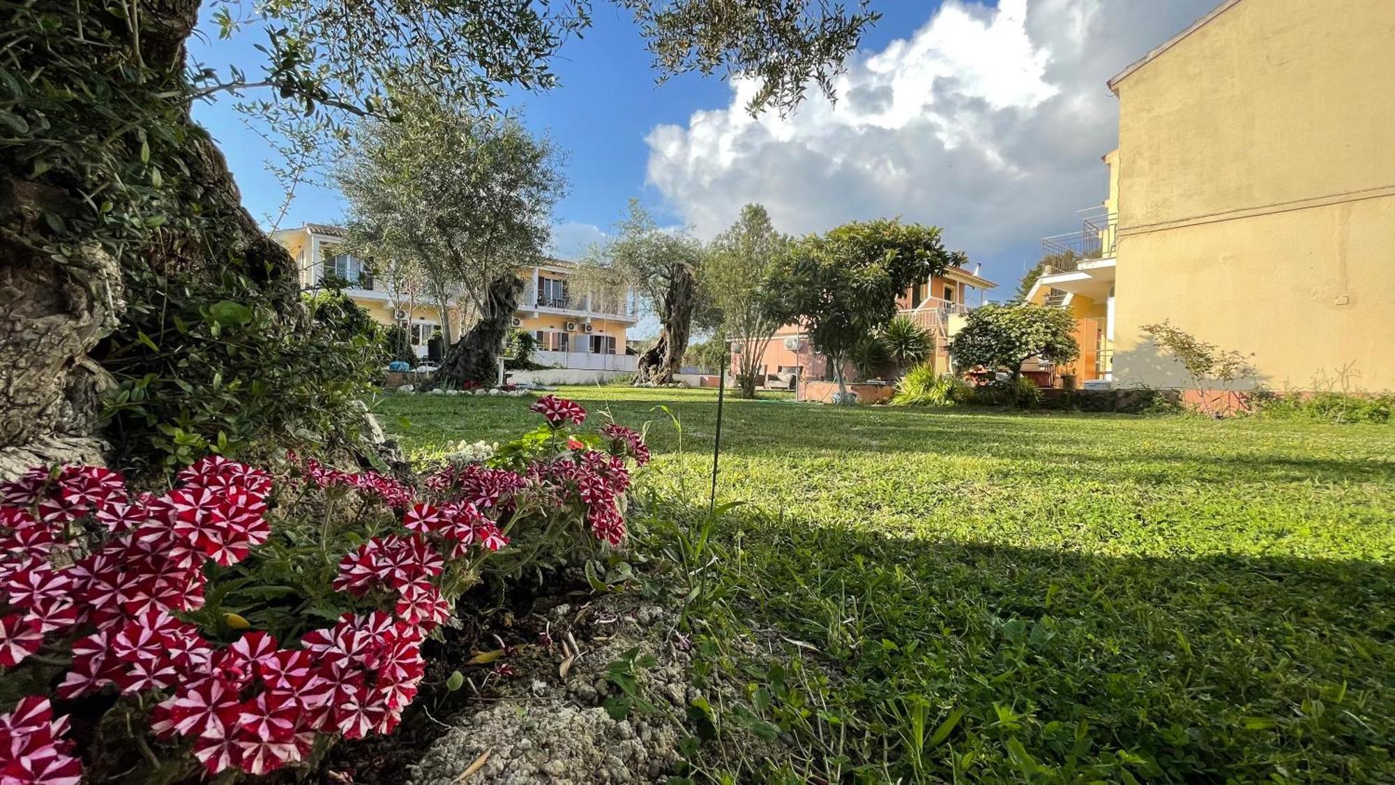 Nine Muses Apartments Kavos Exterior photo